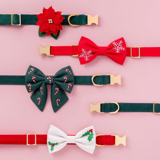 Evergreen Candy Cane Dog Bow