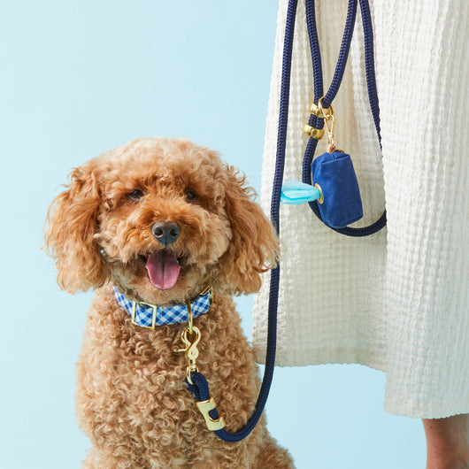 Ocean Blue Nylon Rope Dog Leash