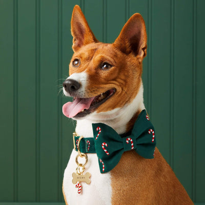 Evergreen Candy Cane Bow Tie