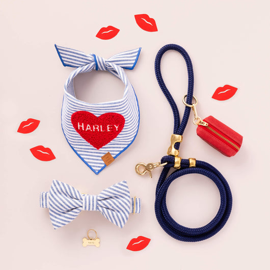 Ocean Blue Nylon Rope Dog Leash