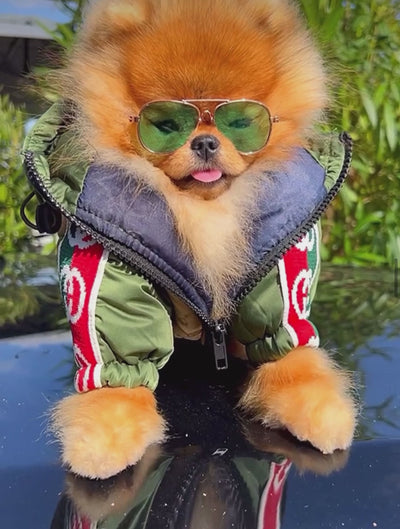 Gigi Fly Winter Jacket With Hood