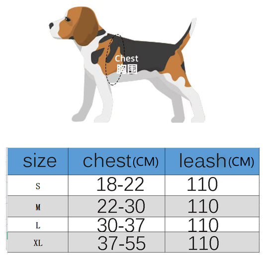 DD Classic Elegance Monogram Harness & Posh Leash