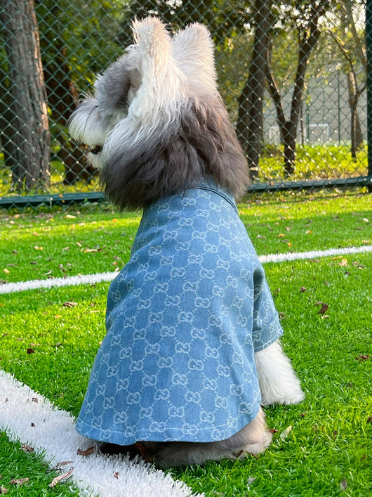 Pet Dog Snatched Clothes