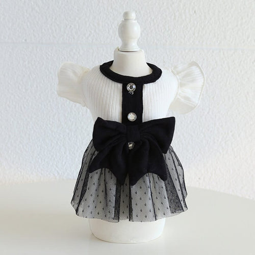 Designer Dog Clean Dress