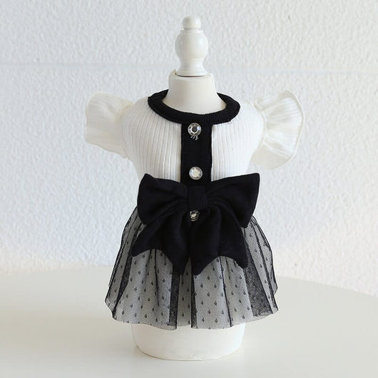 Designer Dog Clean Dress