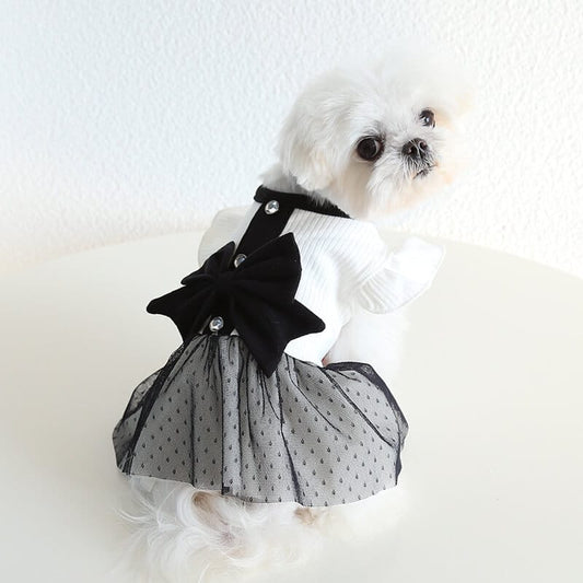 Designer Dog Clean Dress