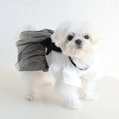 Designer Dog Clean Dress