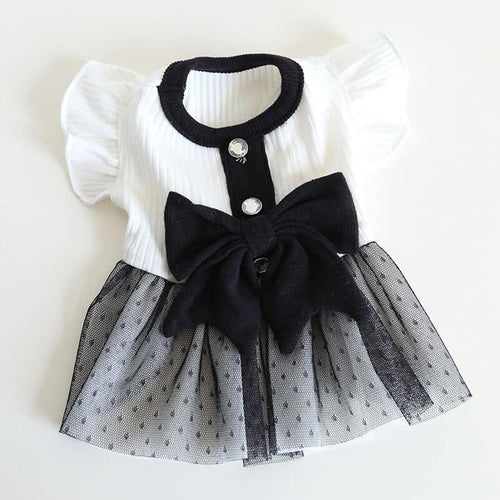 Designer Dog Clean Dress