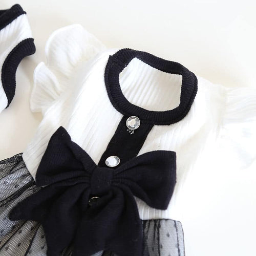 Designer Dog Clean Dress