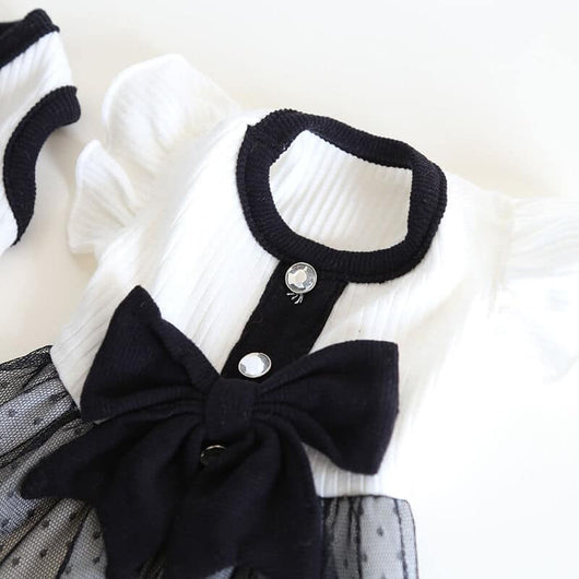 Designer Dog Clean Dress