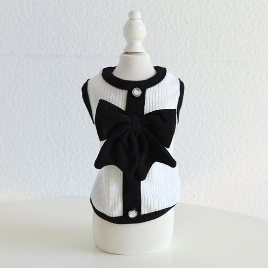 Designer Tiny Dog Rewind Clothes