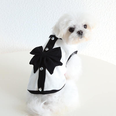 Designer Tiny Dog Rewind Clothes