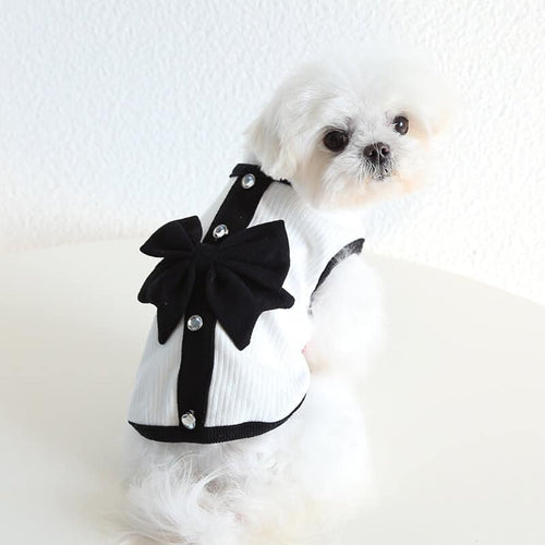 Designer Tiny Dog Rewind Clothes