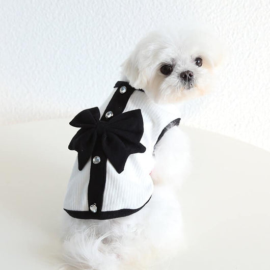 Designer Tiny Dog Rewind Clothes
