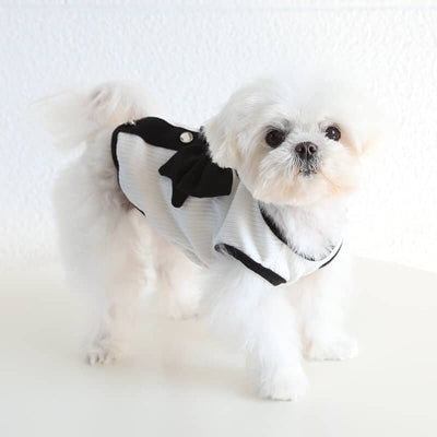Designer Tiny Dog Rewind Clothes