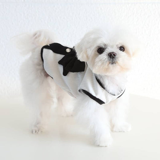 Designer Tiny Dog Rewind Clothes