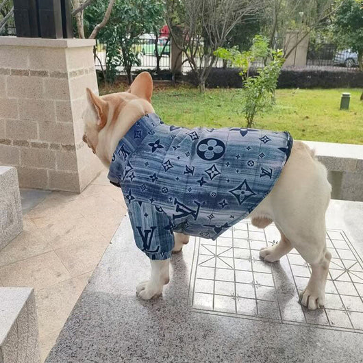 Designer Winter Dog Dope Coat