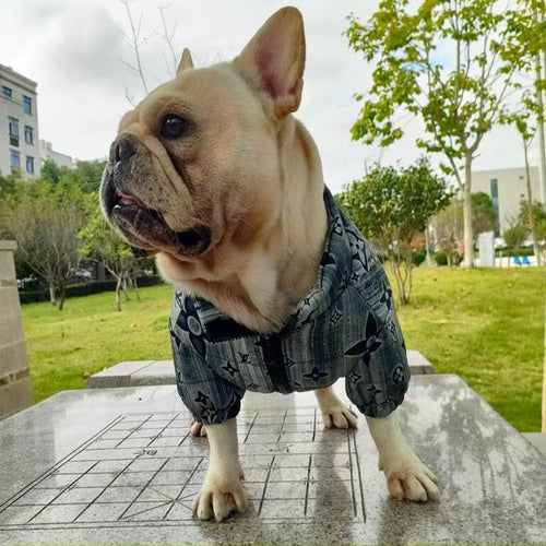 Designer Winter Dog Dope Coat