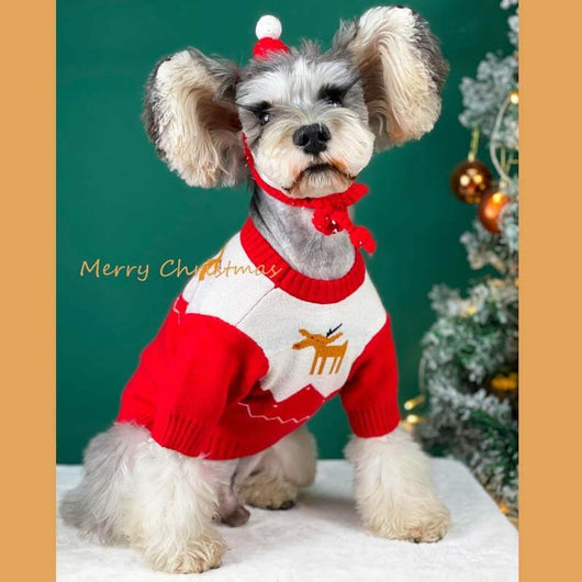Dog Christmas Fly Outfit