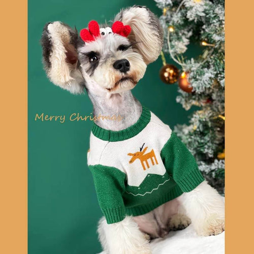 Dog Christmas Fly Outfit