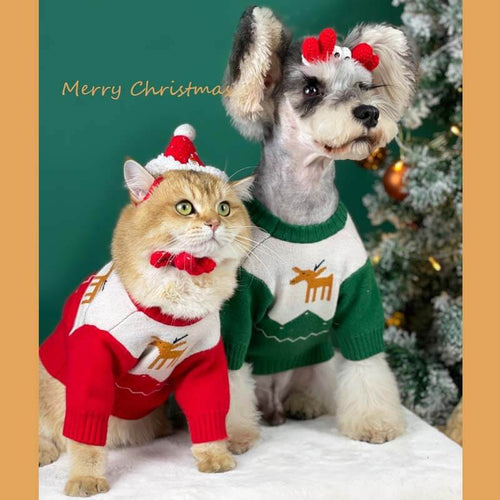 Dog Christmas Fly Outfit