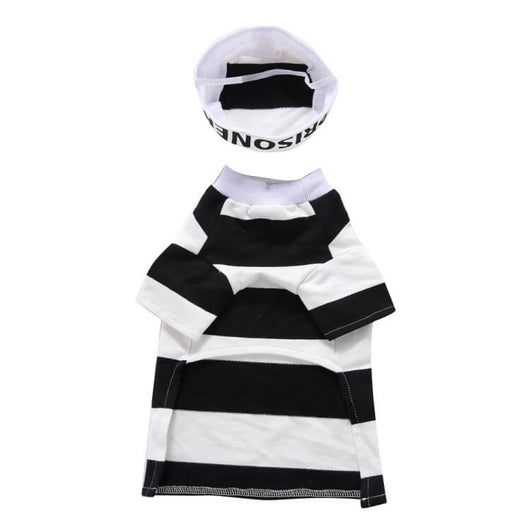 Dog Halloween Hot Costumes