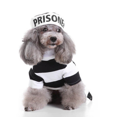 Dog Halloween Hot Costumes