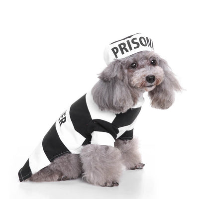 Dog Halloween Hot Costumes