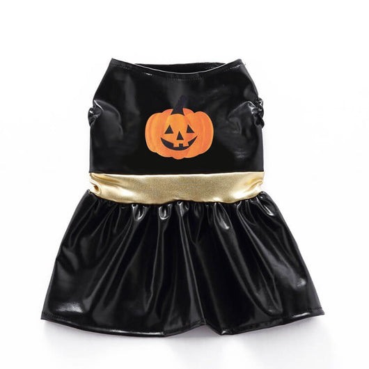 Doggo Pumpkin Adorable Costumes