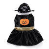Doggo Pumpkin Adorable Costumes