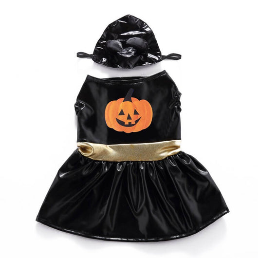 Doggo Pumpkin Adorable Costumes
