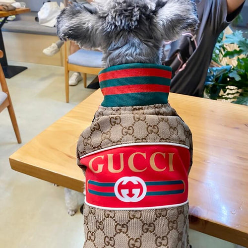 Whimsical Comfortable Dog Jackets For Winter