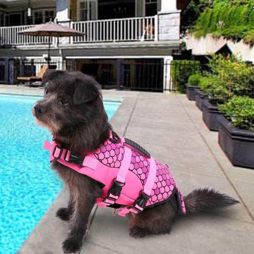Mermaid Shark Dog Life Cute Jacket