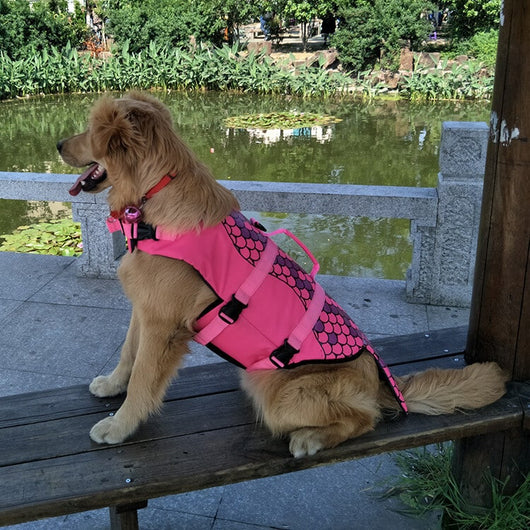Mermaid Shark Dog Life Cute Jacket