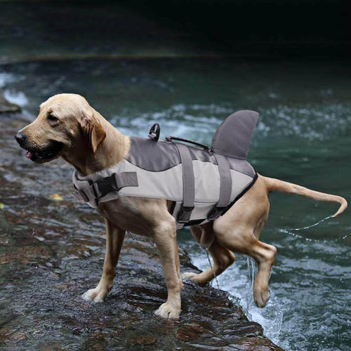 Mermaid Shark Dog Life Cute Jacket