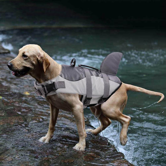 Mermaid Shark Dog Life Cute Jacket