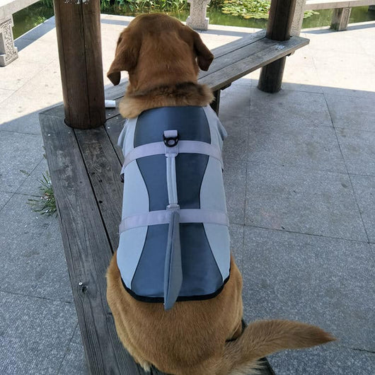 Mermaid Shark Dog Life Cute Jacket