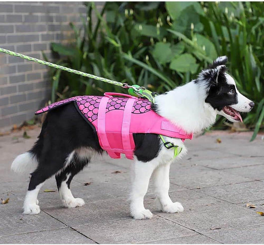 Mermaid Shark Dog Life Cute Jacket