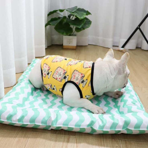 Dog Throwie Vest