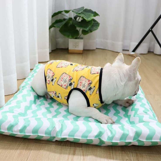 Dog Throwie Vest