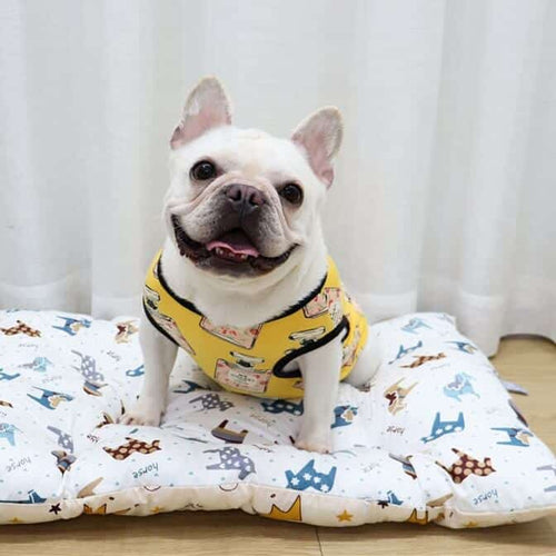 Dog Throwie Vest