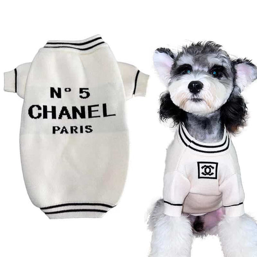 Knitting Pattern Dog Bubbly Sweater