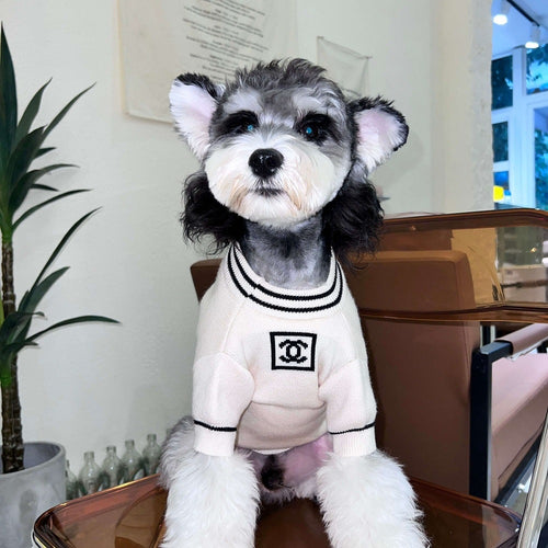 Knitting Pattern Dog Bubbly Sweater