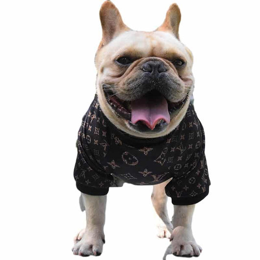 Fashion Dog Rewind Sweatshirt