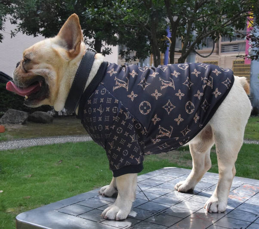 Fashion Dog Rewind Sweatshirt