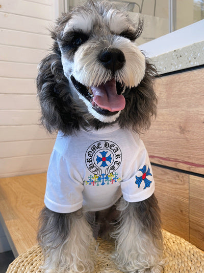 Pet Dog Vibrant Clothes