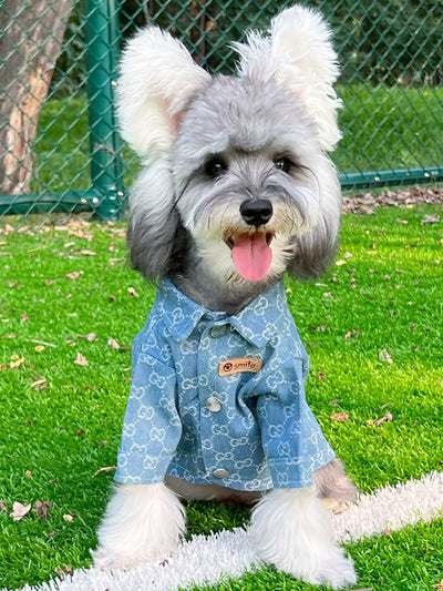 Pet Dog Snatched Clothes