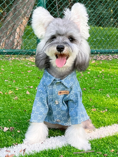 Pet Dog Snatched Clothes