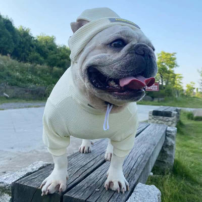 Essentials Dog Clothes