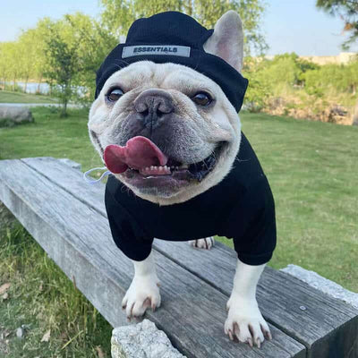 Essentials Dog Clothes